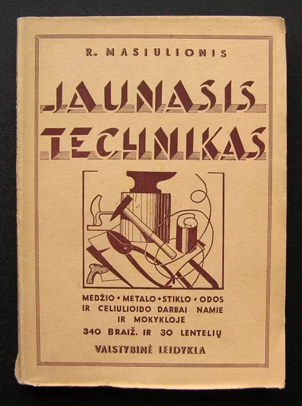 Jaunasis technikas - R. Masiulionis, knyga 2