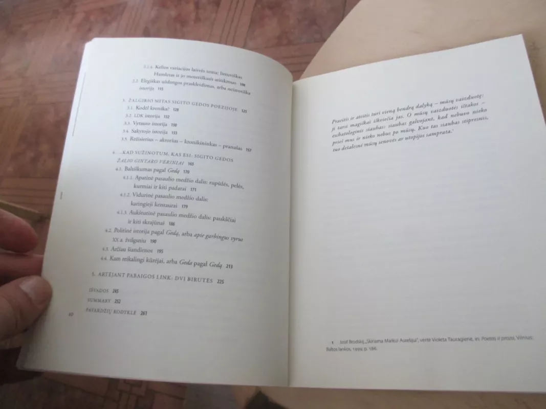 Atminties imperatyvai. Lietuvos istorijos mitologinimas Juditos Vaičiūnaitės ir Sigito Gedos poezijoje - Autorių Kolektyvas, knyga 6