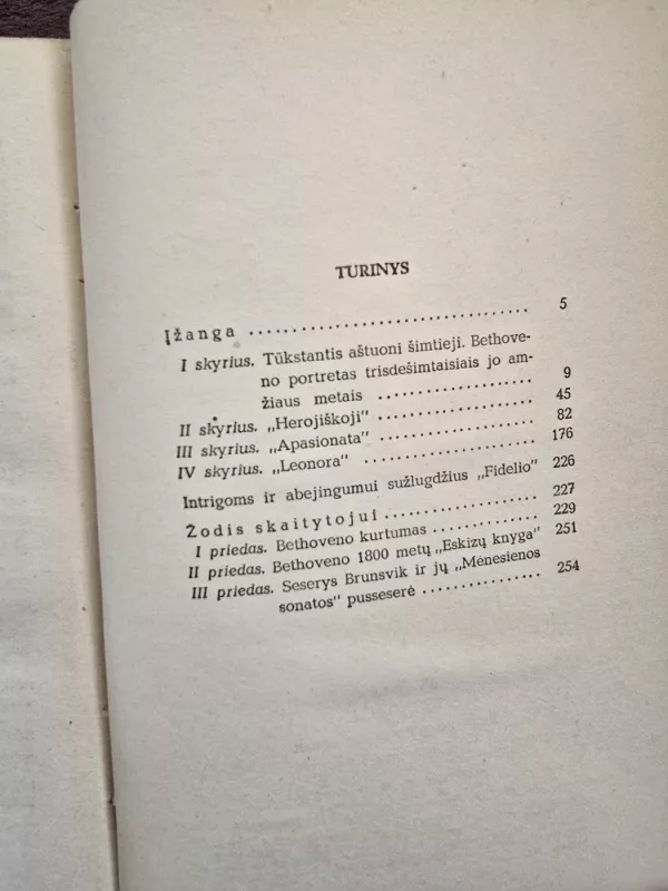 Bethovenas - Romenas Rolanas, knyga 3