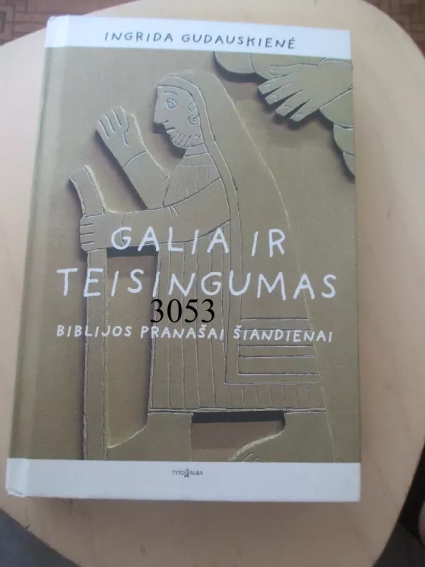 Galia ir teisingumas - Ingrida Gudauskienė, knyga 2