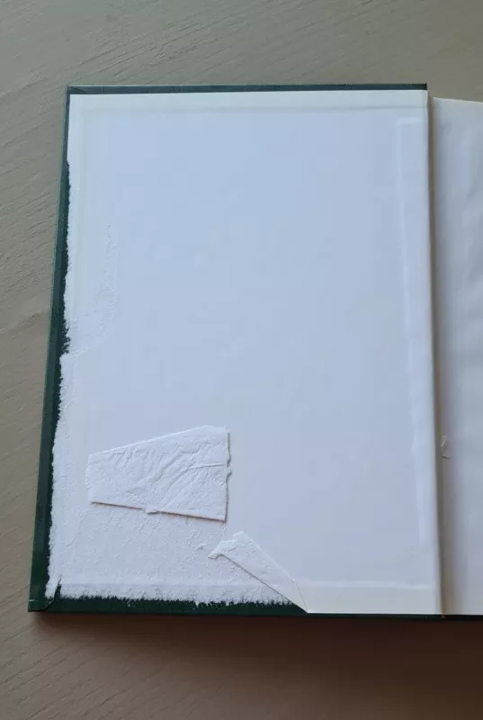 Tūkstantmečio knyga. Pažintis su Lietuva - Steponas Maculevičius, knyga 3