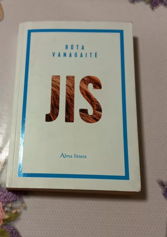 Jis - Rūta Vanagaitė, knyga 2