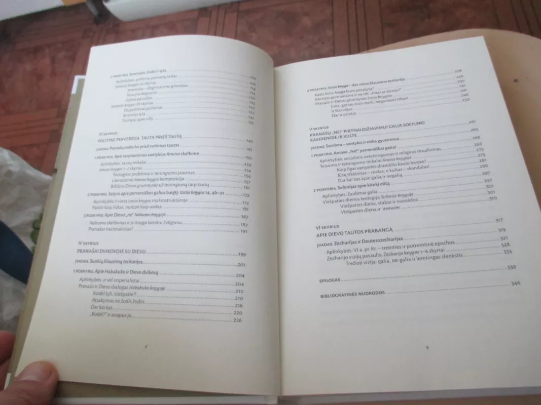 Galia ir teisingumas - Ingrida Gudauskienė, knyga 6