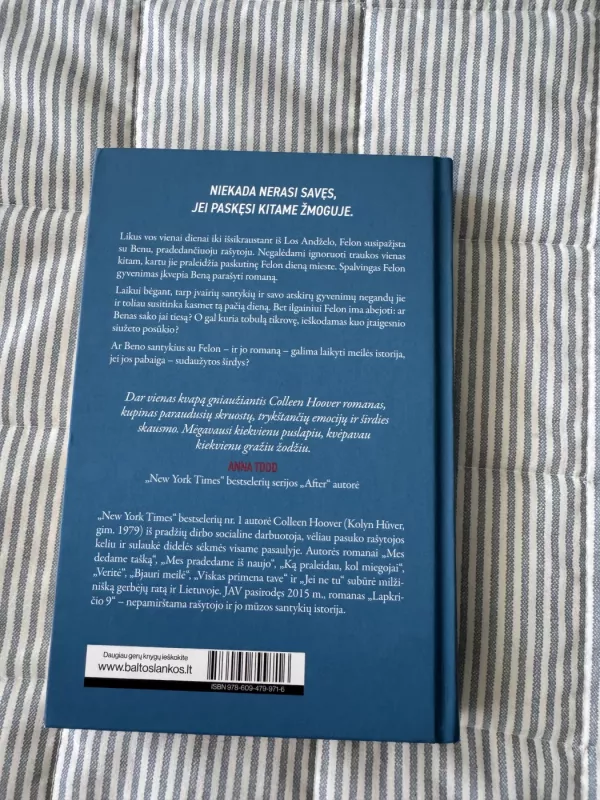 Lapkričio 9 - Colleen Hoover, knyga 2