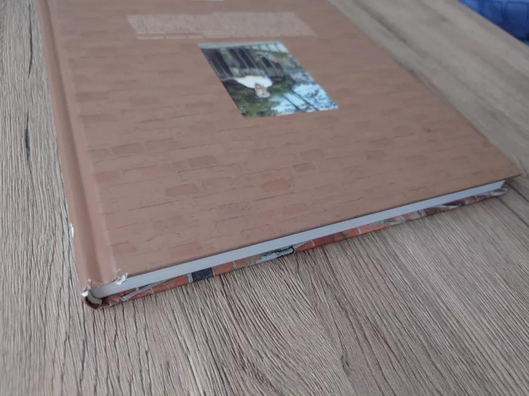 Mūrinės statybos raida Lietuvoje XIII–XVI a. - Stasys Abramauskas, knyga 6