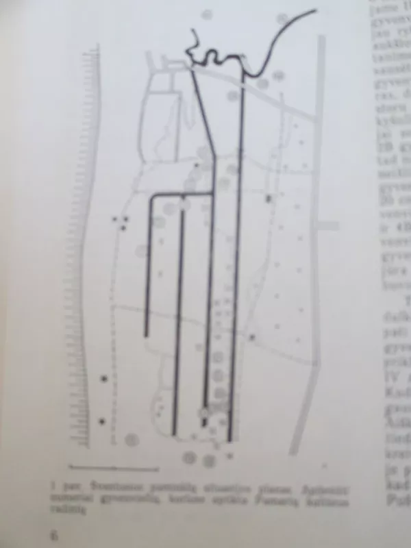Šventoji. Pamarių kultūros gyvenvietės - Rima Rimantienė, knyga 5
