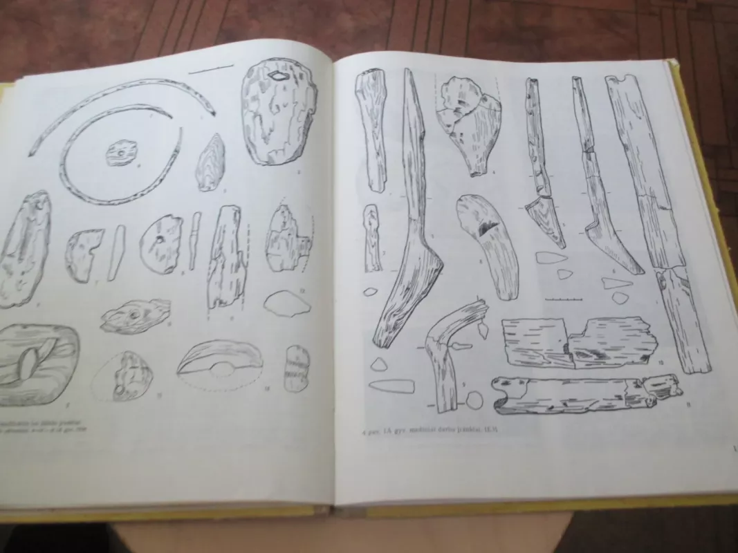 Šventoji. Pamarių kultūros gyvenvietės - Rima Rimantienė, knyga 4