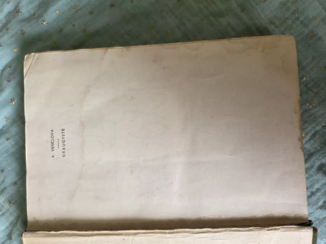 Draugystė - Antanas Venclova, knyga 4