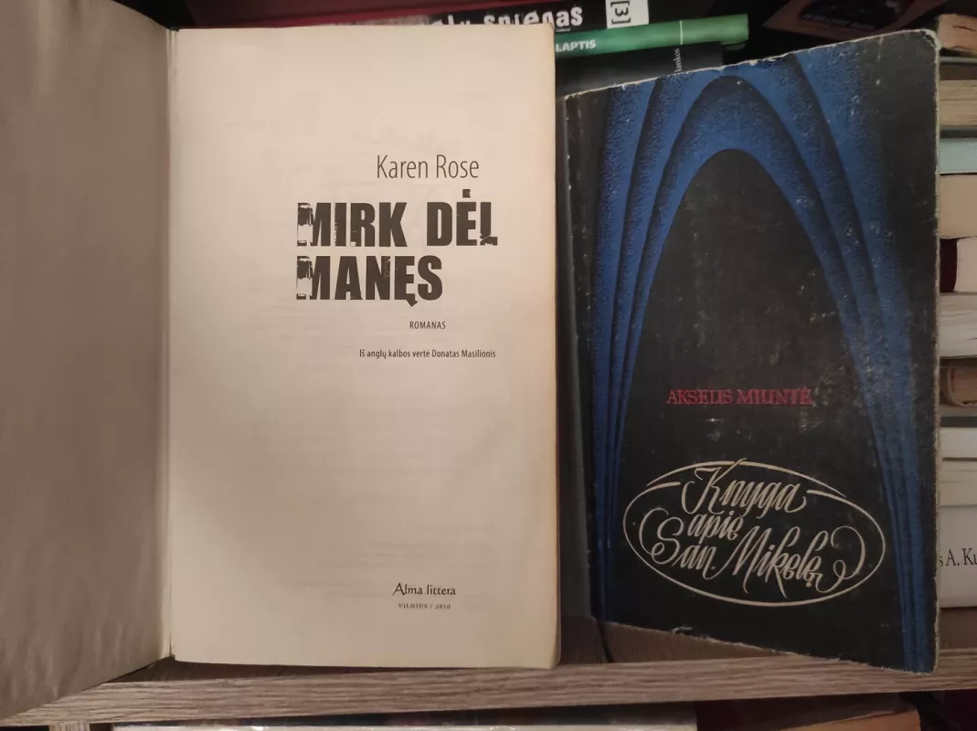 Mirk dėl manęs - Karen Rose, knyga 3