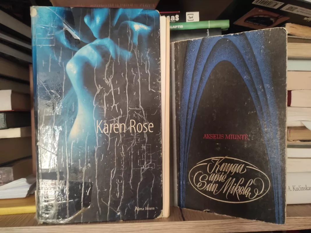 Mirk dėl manęs - Karen Rose, knyga 2