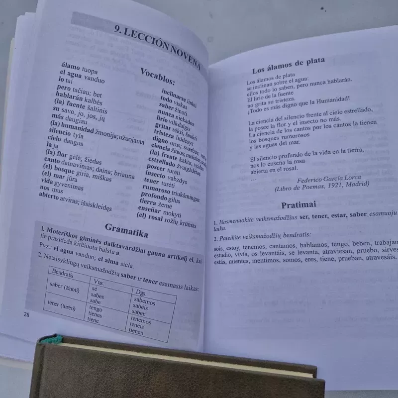 Hablamos espanol - Gediminas Degėsys, knyga 5