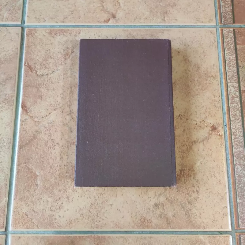 Raudonasis kambarys. Hemsio salos žmonės - August Strindberg, knyga 5