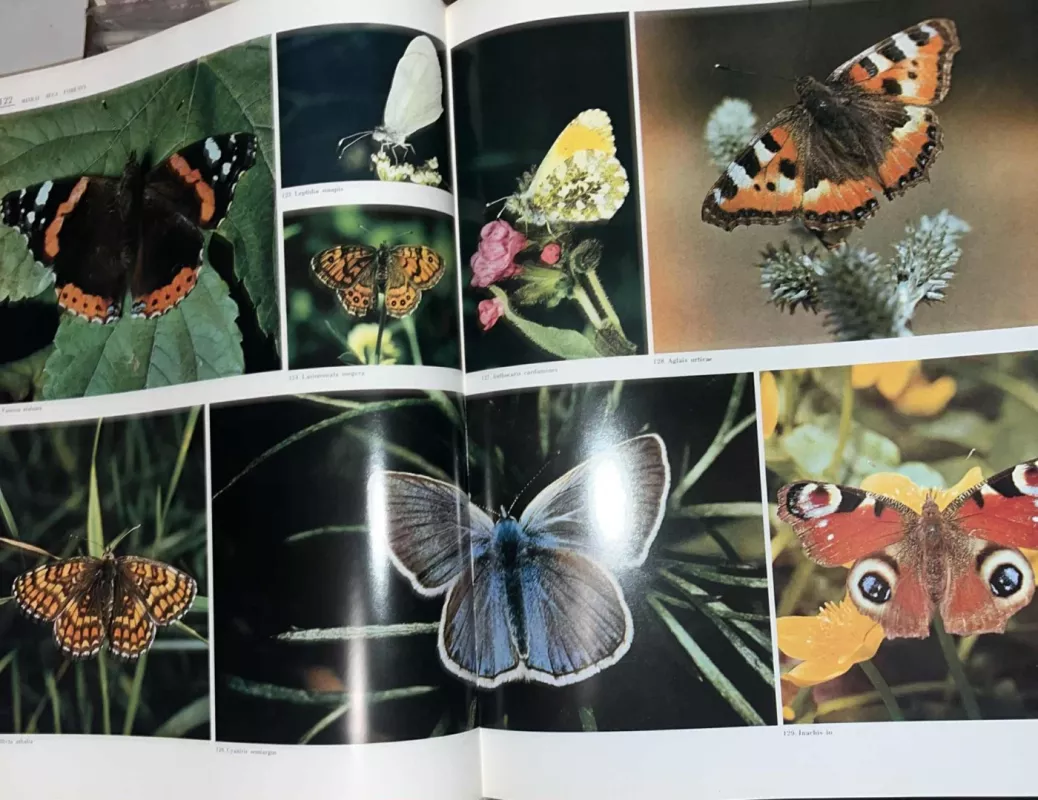 Tarybų Sąjungos gamta - Autorių Kolektyvas, knyga 4