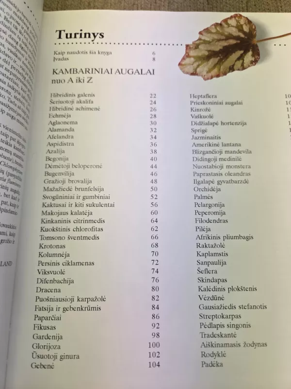 Kambariniai augalai - J. Bland ir W. Davidsonas, knyga 2