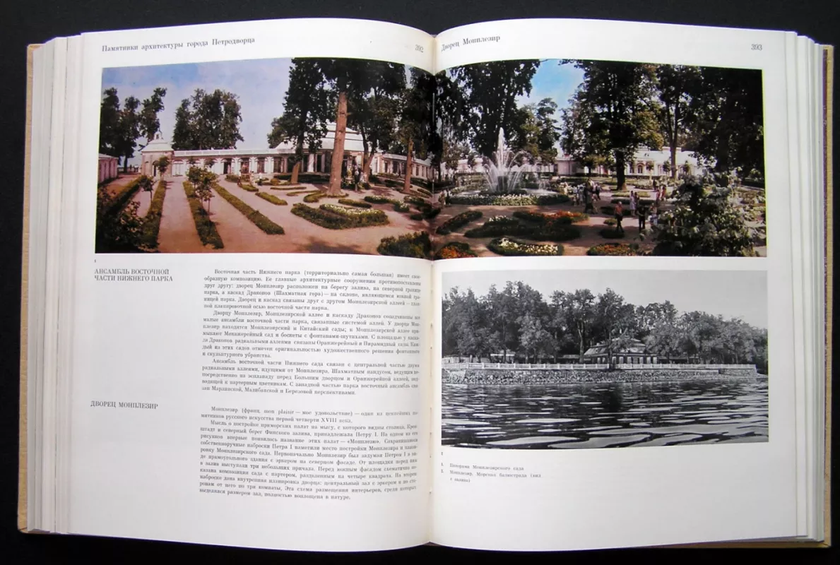 Leningrado priemiesčių architektūros paminklai (knyga rusų kalba) - Autorių kolektyvas, knyga 6