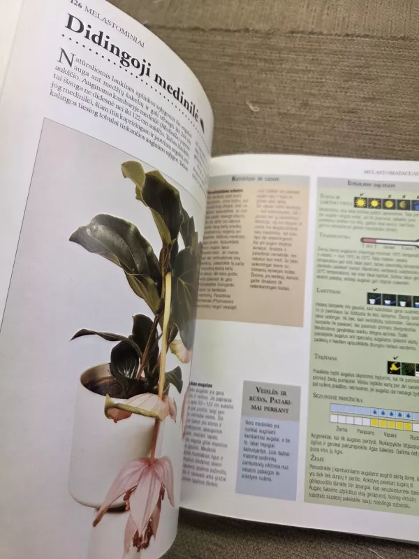 Kambariniai augalai - J. Bland ir W. Davidsonas, knyga 6