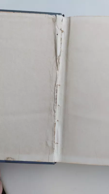 Prisikėlimas - Levas Tolstojus, knyga 3