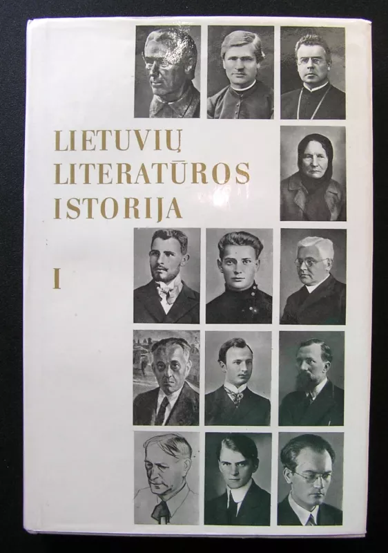 Lietuvių literatūros istorija – iki 1940 m. T.1 - Jonas Lankutis, knyga 2