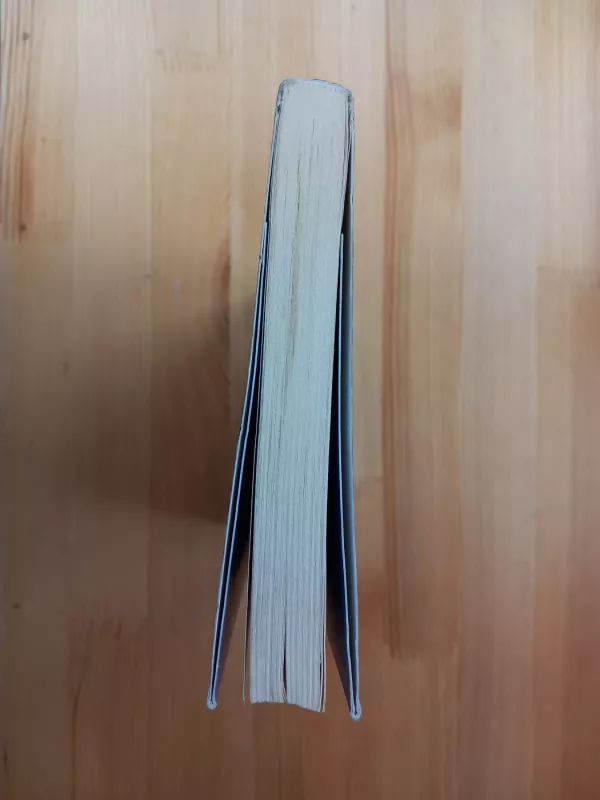 Išgelbėti Reičelę - John Locke, knyga 5