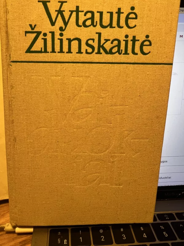 Vaiduokliai - Vytautė Žilinskaitė, knyga 3