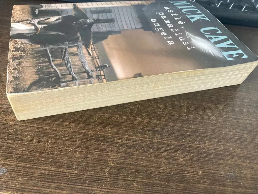 Asilė, pamačiusi angelą - Nick Cave, knyga 3