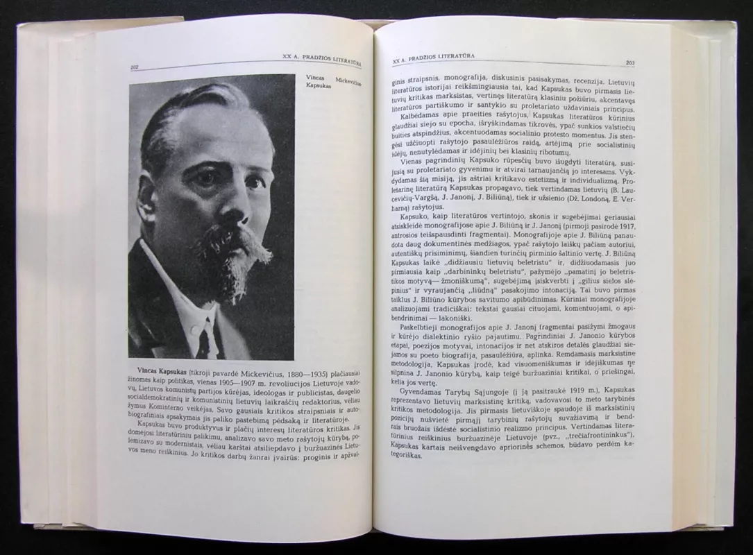 Lietuvių literatūros istorija – iki 1940 m. T.1 - Jonas Lankutis, knyga 5