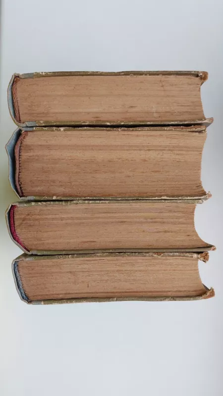 Vargdieniai - Viktoras Hugo, knyga 4