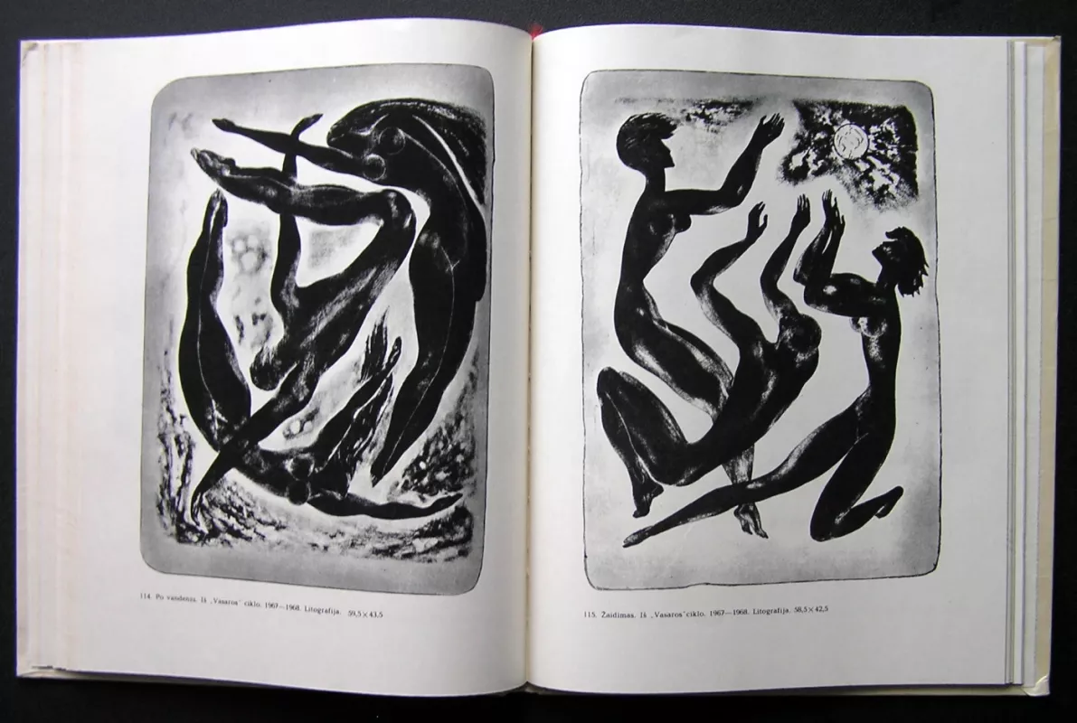 Stasys Krasauskas - Gytis Vaitkūnas, knyga 5