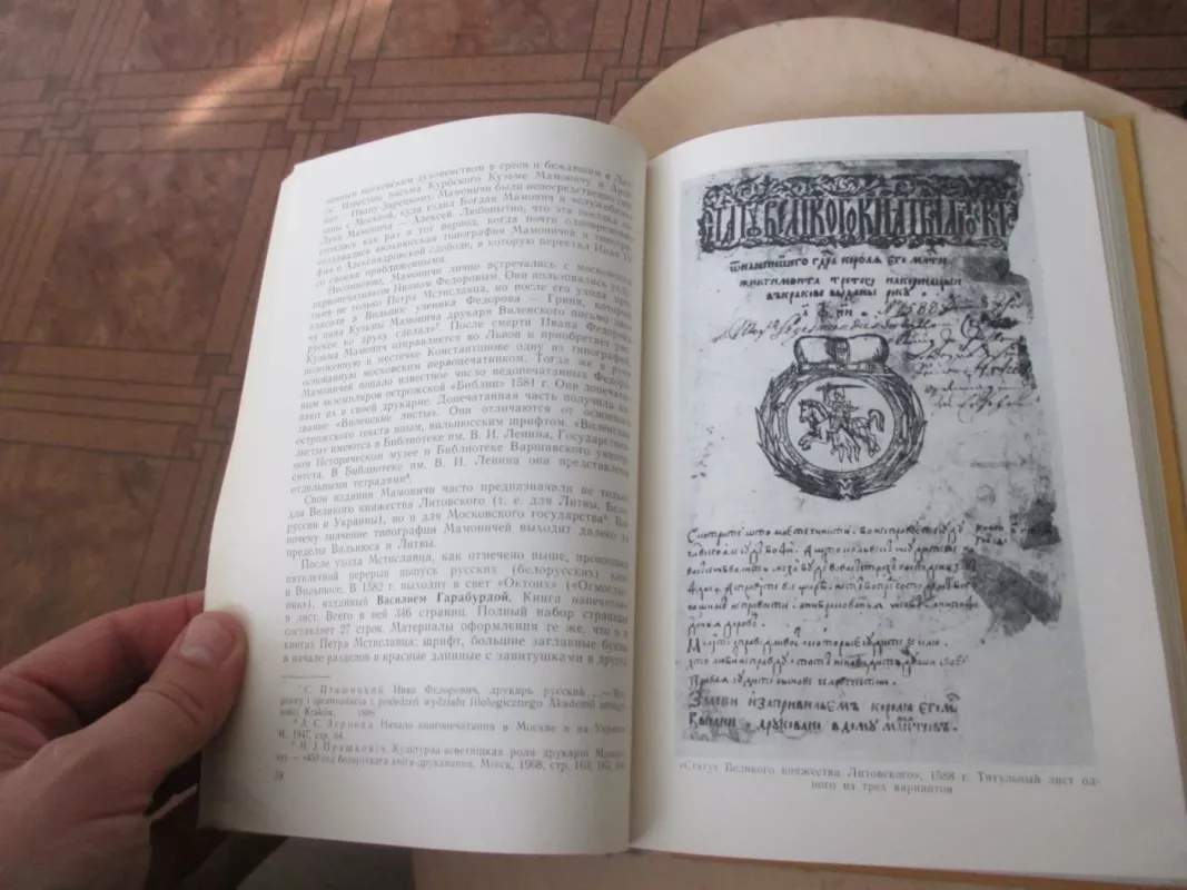 Knygų spausdinimo priešaušris Lietuvoje (rusų k.) - A. Anuškin, knyga 4