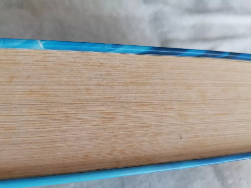 Haris Poteris ir Fenikso Brolija - Rowling J. K., knyga 3