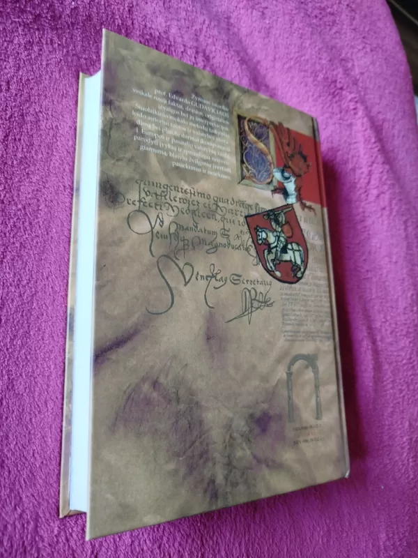 Lietuvos istorija - Edvardas Gudavičius, knyga 6