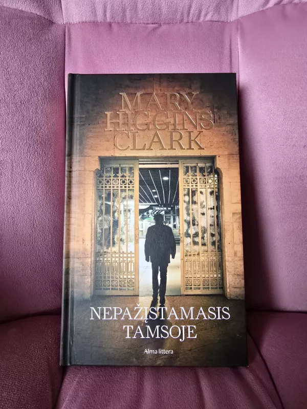 Nepažįstamasis tamsoje - Mary Higgins Clark, knyga 2
