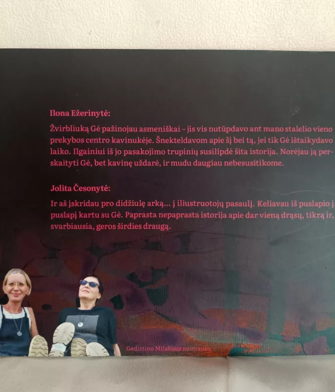 GĖ - Ilona Ežerinytė, knyga 4