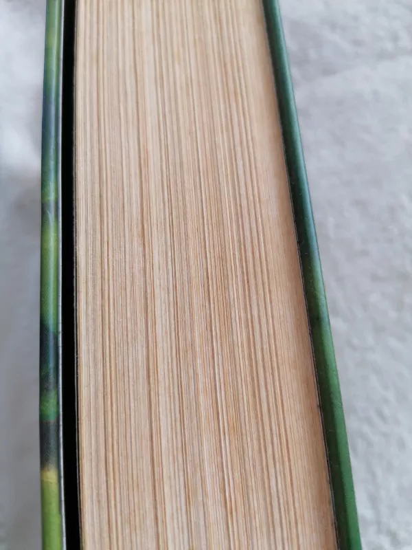 Haris Poteris ir Netikras princas - Rowling J. K., knyga 3