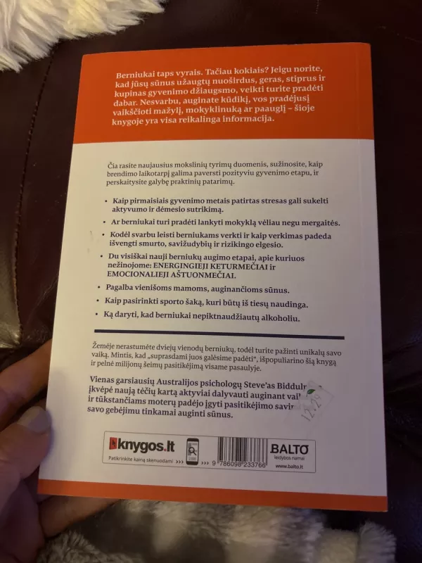 Kaip auginti berniukus XXI amžiuje - Steve Biddulph, knyga 3