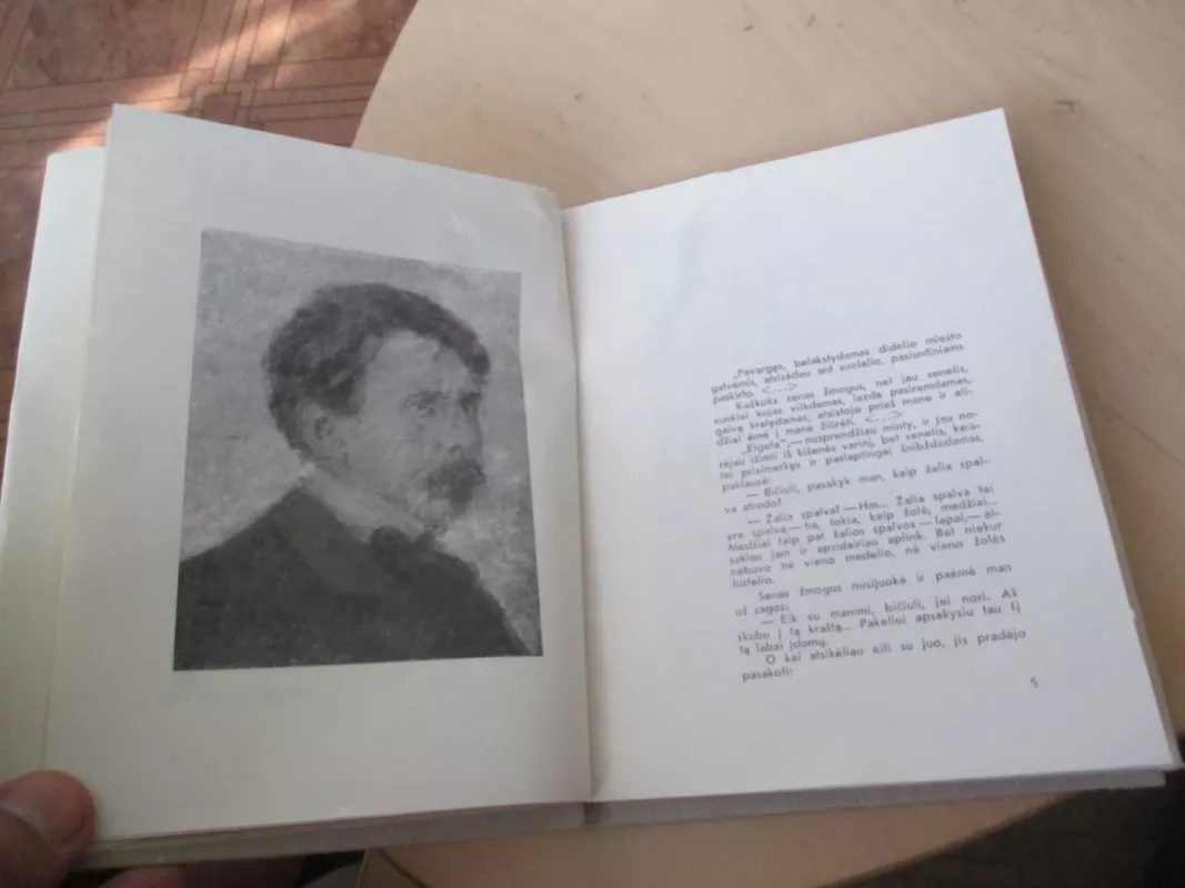 Mikalojus Konstantinas Čiurlionis - J. Bruveris, knyga 6