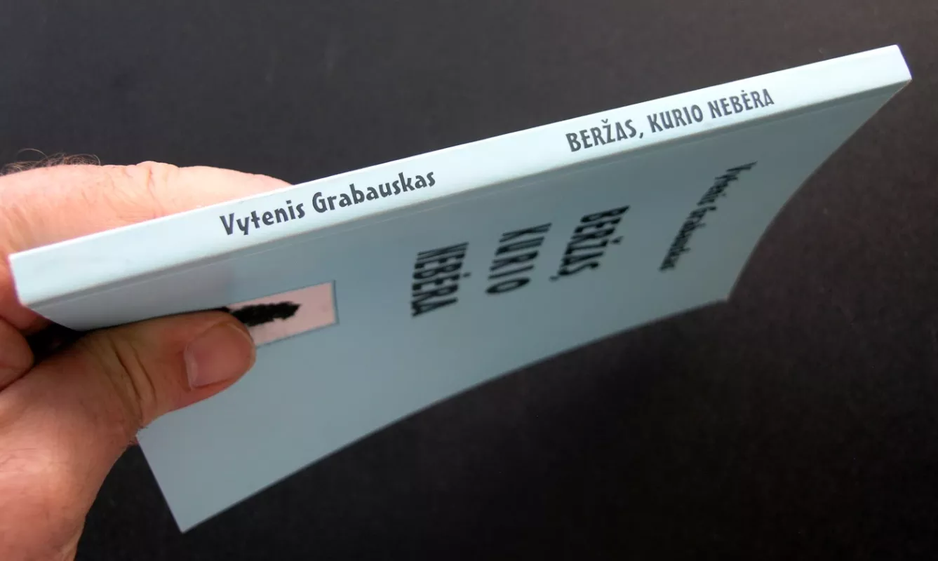 Beržas, kurio nebėra - Vytenis Grabauskas, knyga 4
