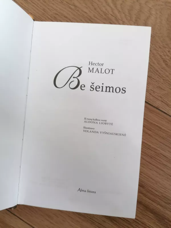 Be šeimos - Hector Malot, knyga 4