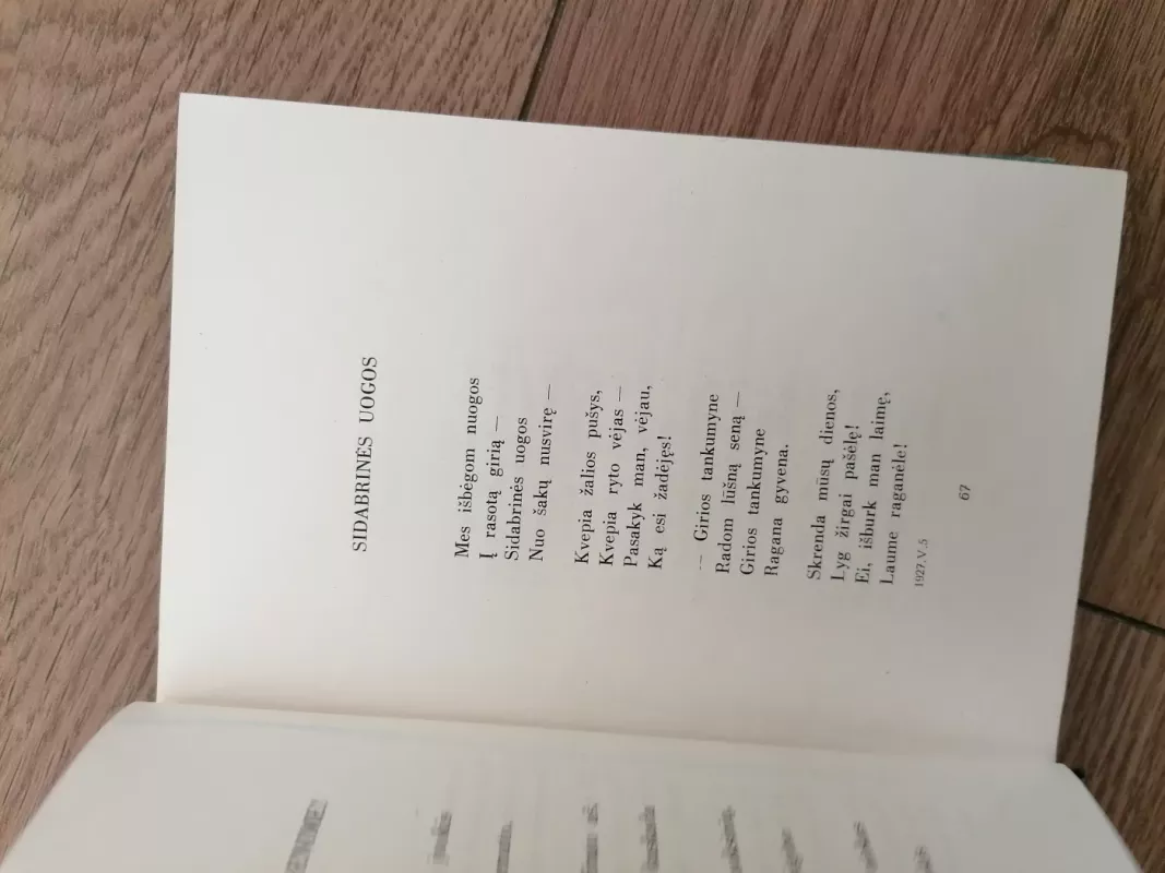 Pavasaris per kalnus eina - Salomėja Nėris, knyga 5