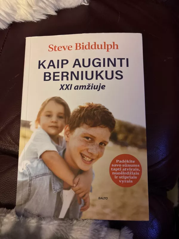 Kaip auginti berniukus XXI amžiuje - Steve Biddulph, knyga 2