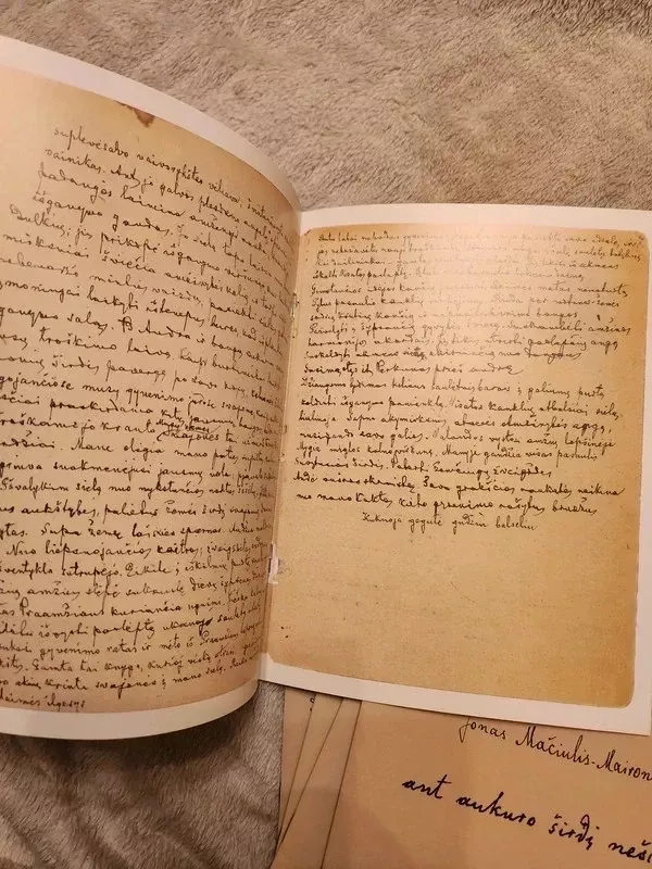 Jonas Mačiulis-Maironis - Jonas Mačiulis-Maironis, knyga 4