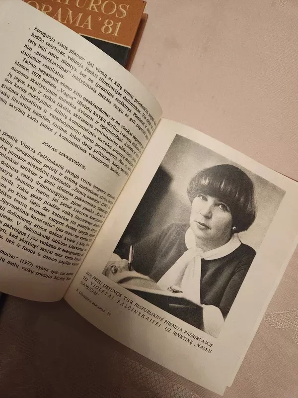 Literatūros panorama 87 - Arvydas Valionis, Ema Vanagienė, knyga 4