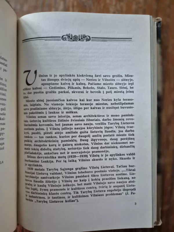 Po Vilniaus apylinkes - Vincas Uždavinys, knyga 5