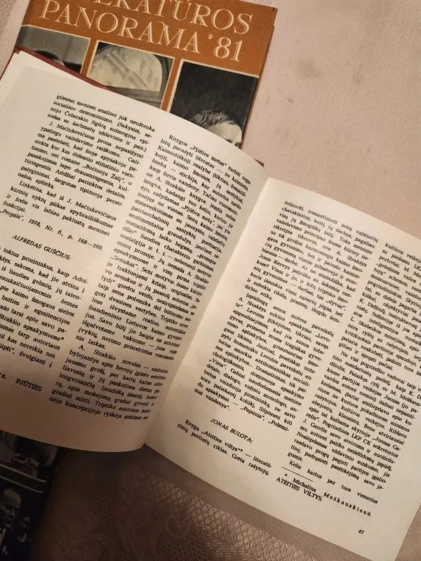 Literatūros panorama 87 - Arvydas Valionis, Ema Vanagienė, knyga 6