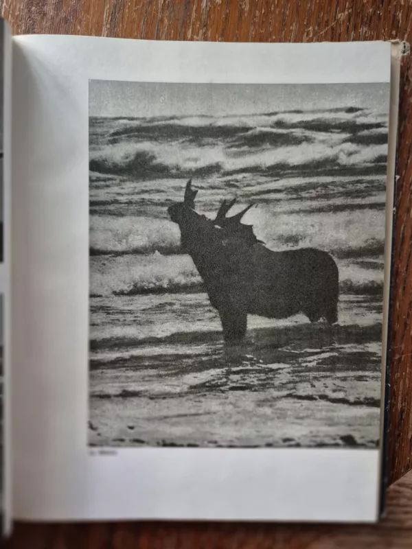 Kuršių nerija ir marios - Vytautas Gudelis, knyga 4