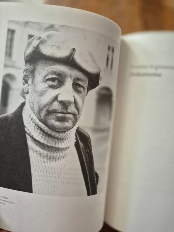 Nuo pradžios pasaulio. Apie dokumentininką Robertą Verbą - Rūta Oginskaitė, knyga 6