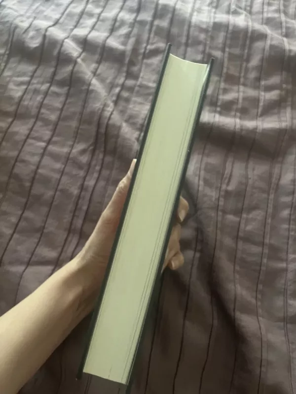 Jokių taisyklių. Kodėl Netflix tokia sėkminga? - Reed Hastings, knyga 4