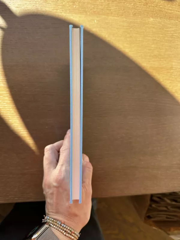 Senis ir jūra - Ernestas Hemingvėjus, knyga 4