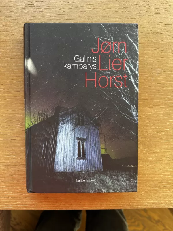 Galinis kambarys - Jørn Lier Horst, knyga 2