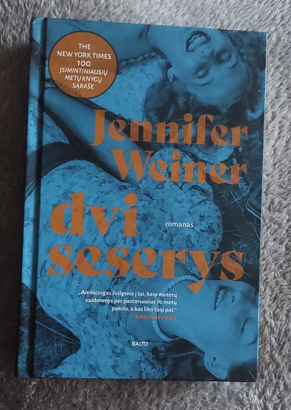 Dvi seserys - Jennifer Weiner, knyga 2